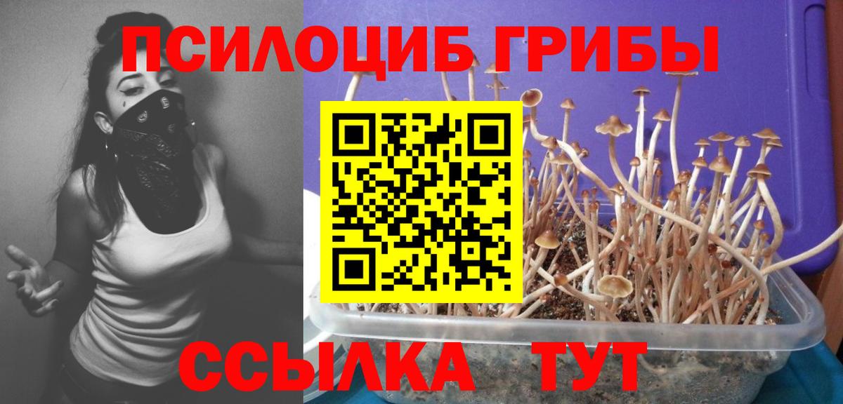 Галлюциногенные грибы мицелий  Псилоцибиновые грибы Cubensis  Вход с VPN  Мариинск 