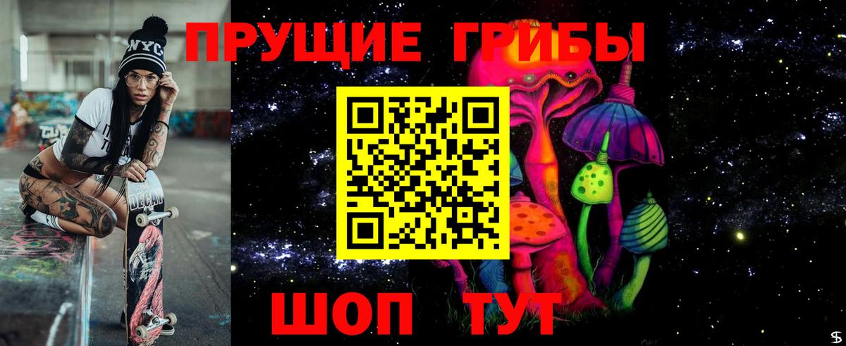 Галлюциногенные грибы Psilocybe Мариинск